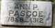 Ann P Pascoe Headstone